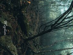 -萍乡武功山风景名胜区