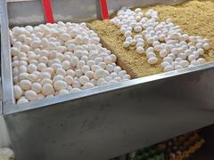 -朝阳菜场(白塔西路店)
