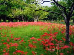 -白塘生态植物园