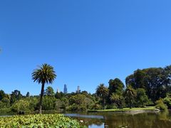 -墨尔本皇家植物园