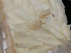 -BLACKSWAN黑天鹅(环球店)