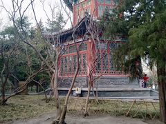 -宣武艺园