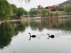 -石家庄市动物园