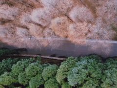 -山王坪喀斯特国家生态公园