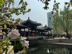 -海棠花溪(元大都城垣遗址公园)