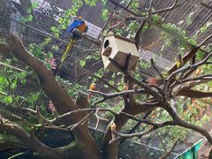 -泉城欧乐堡海洋极地世界