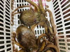 -范饭椰林川湘味海鲜·椰子鸡(三亚湾椰梦长廊店)