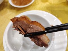 烧鹅-姚林轩