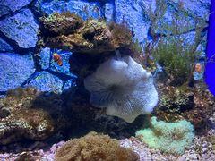 -常州海昌海洋探索馆