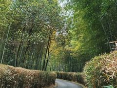 -天目湖涵田度假村