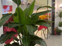 -雲己推拿院·养生SPA(江北龙湖天街店)