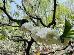 -元大都城垣遗址公园