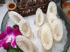 -喜聚薈·花膠雞海鮮火鍋(越秀店)