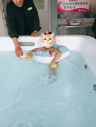 -王子羊孕婴童连锁(水景店)