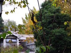 -成都杜甫草堂博物馆