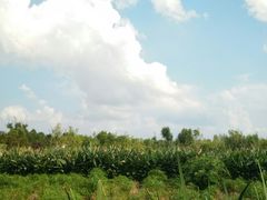 -白鹭湾湿地公园