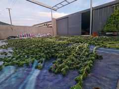 -瞻岐金锅饭店