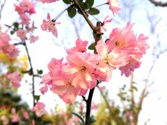 -黄兴公园