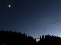-武陵山森林公园