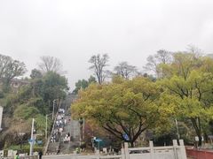 -洪崖丹井