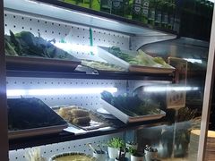 -SEA西雅图海鲜自助餐厅(海乐世界店)
