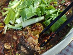 -温江公平红烧兔(总店)