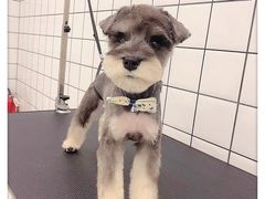 -BABIT巴比特宠物(MOMOPARK店)