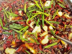 -乡土特色.冷锅鱼.牦牛肉汤锅