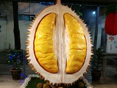 -都念榴莲·城市榴莲