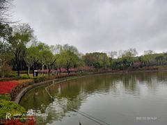 -黄兴公园