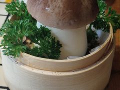 -山悦里 山野·鲜火锅(罗斯福广场店)