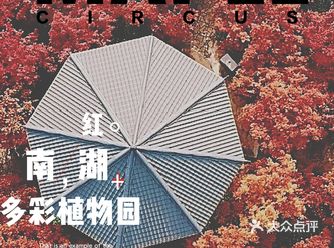 气温下跌了一个拥抱的温度，北方白雪皑皑，而南方的秋天