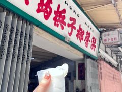 -洪馨椰子