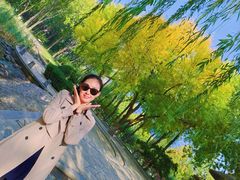 -玲珑塔公园