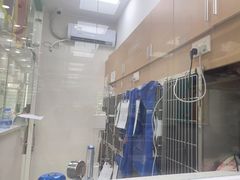 -瑞鹏宠物医院华南总院·夜诊·心脏科·骨科
