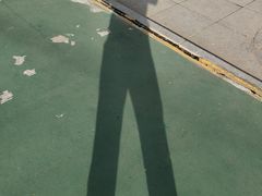 -江心岛