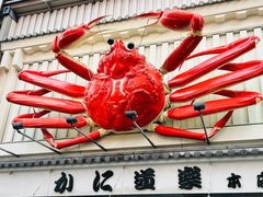 -蟹道乐(道顿堀本店)