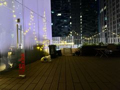 -百好乐宠物友好餐厅(朝外大街店)