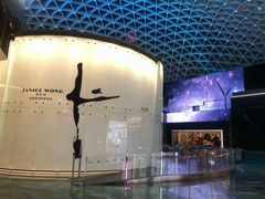 -视博茶点(美狮美高梅店)