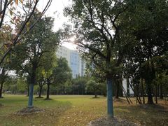 -上海市第一人民医院(松江南部)