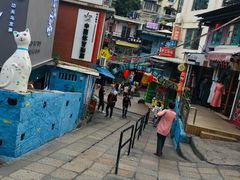 -猫咪博物馆(顶澳仔猫街店)