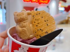 -莉莉熊Lililove Gelato (意大利手工冰淇淋)