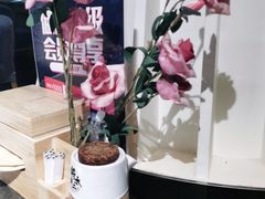 -将太无二·北美传奇寿司(瑞士公寓店)