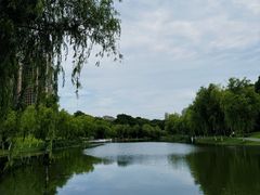 -天鹅湖体育公园