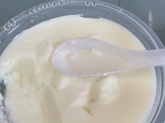 -义顺牛奶公司(新马路老店)