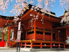 -富士山本宫浅间大社