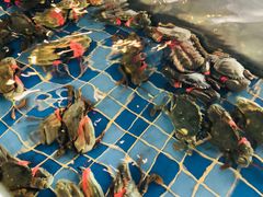 -赤山海景丽呈酒店