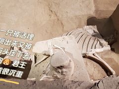 -洛阳周王城天子驾六博物馆