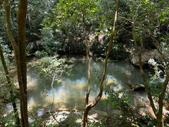 -广州白江湖森林公园