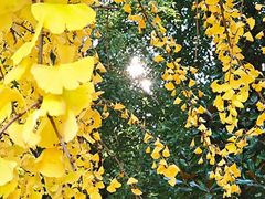 -方山风景区定林寺